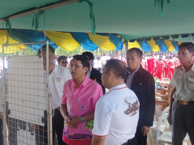 กิจกรรมร่วมปลูกต้นไม้เฉลิมพระเกียรติฯ 2 กรกฎาคม 2556